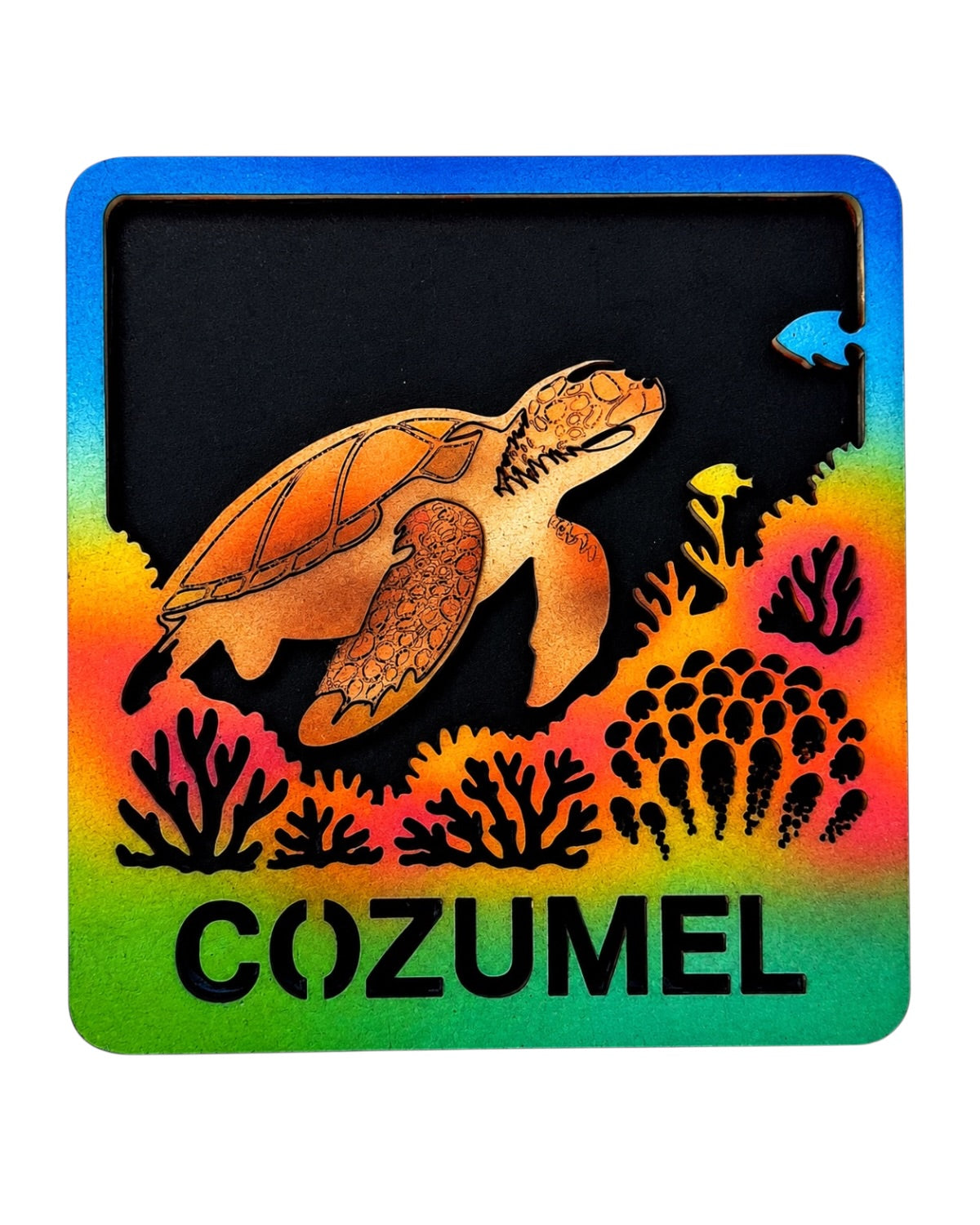 Arrecife Cozumel Magneto
