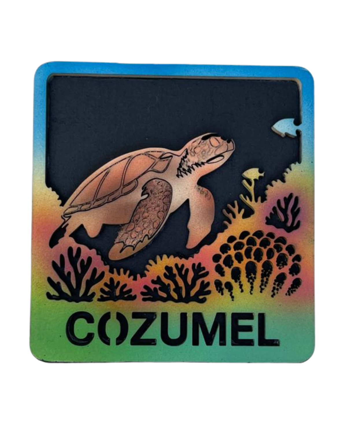 Arrecife Cozumel Magneto