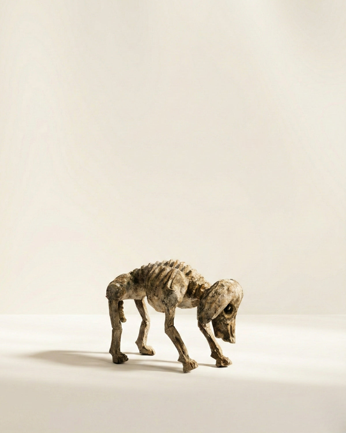 ESQUELETO PERRO OREJON